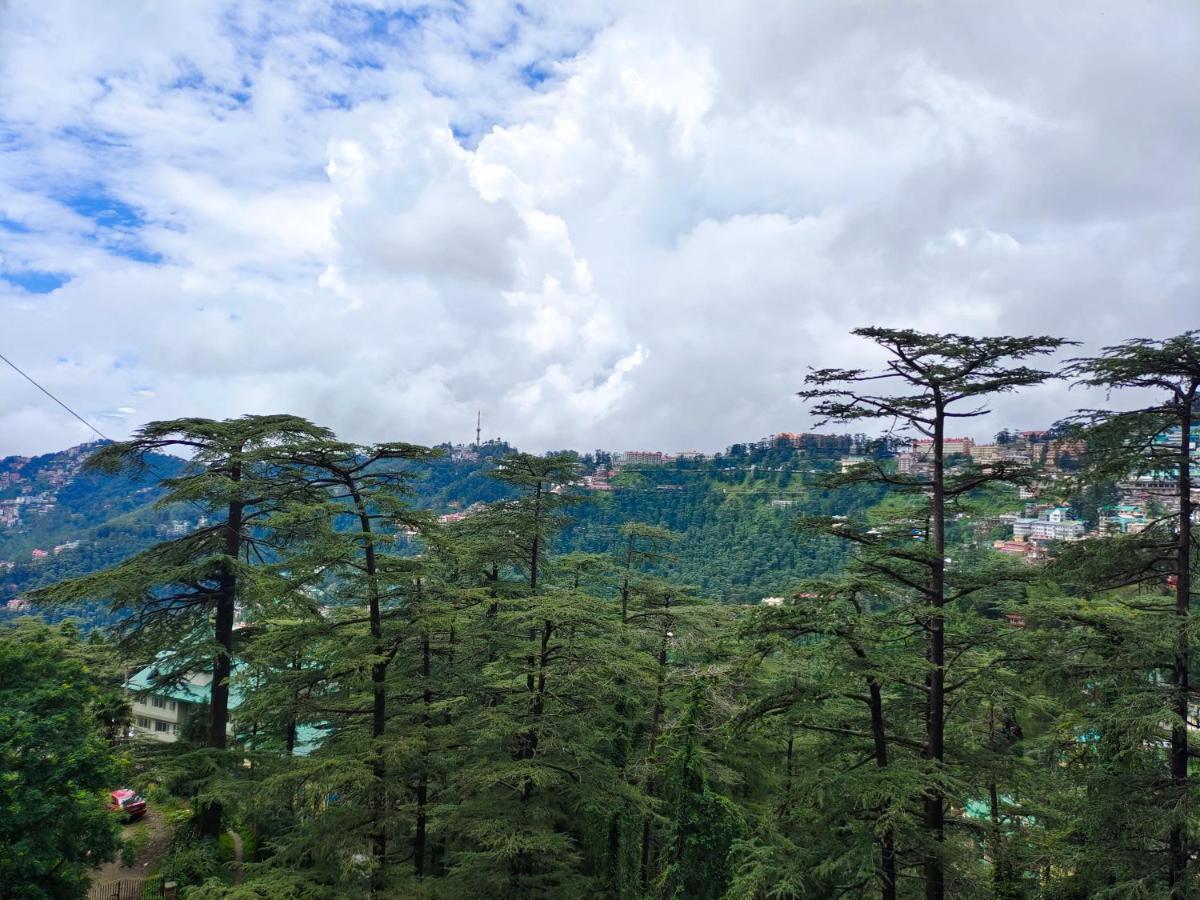 Magic Stays - Shimla Royale - Free Pickup From Railway Station 西姆拉 外观 照片